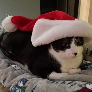 Meet your Posher, Alec